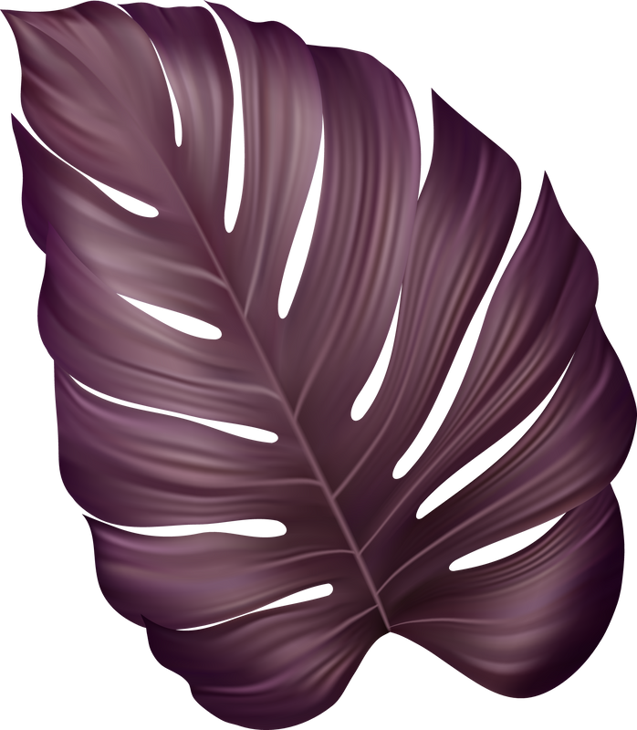 Tropic Leaf Monstera Purple
