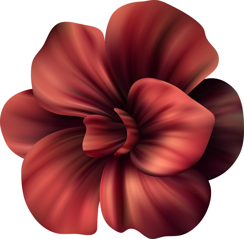 Tropical Exotic Flower